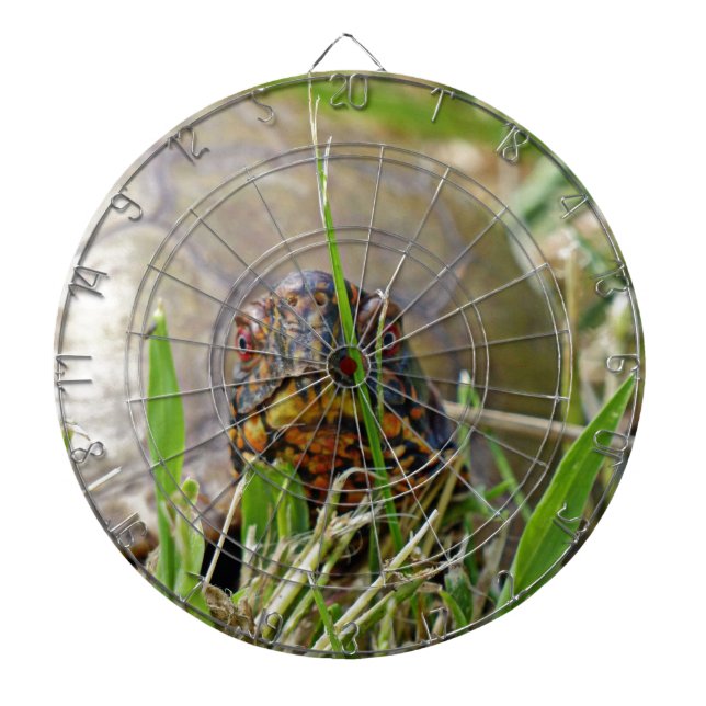 Jeu De Fléchettes Tortue (Devant)