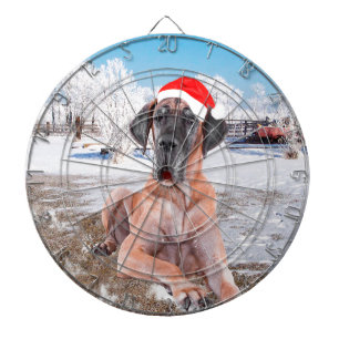 Jeu De Fléchettes Très Beau Chien Danse Assis Dans Le Casquette De N