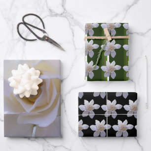 Jeu de papier d'emballage - Gardenias