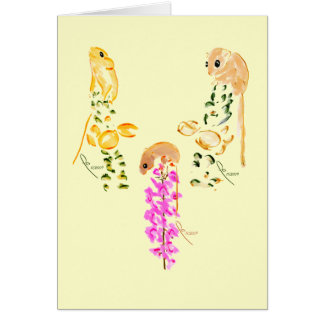 jeu de souris de champ