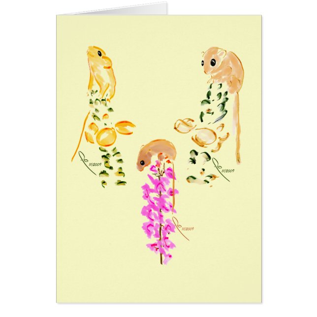 jeu de souris de champ (Devant)