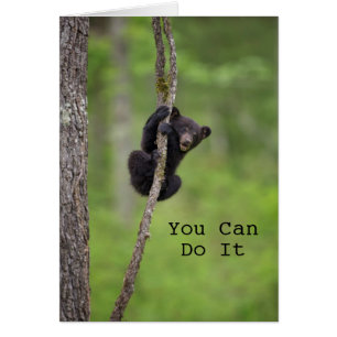 Jeu d'oursons noirs, Tennessee