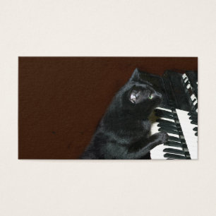 Jeu noir de chat de minou l'organe