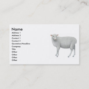 Jeune carte de visite de Sheepp