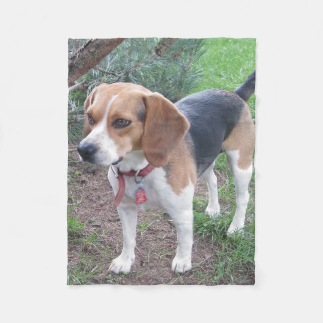 Jeune couverture mignonne d'ouatine de beagle (Devant)