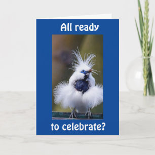 JEUX ANNIVERSAIRE DE LA CARTE "OISEAU COMÉDIQUE"