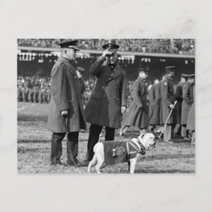 Jiggs kennt Football: 1923 Postkarte