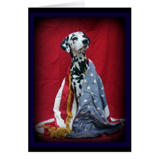 Jiggs patriotique (Devant)