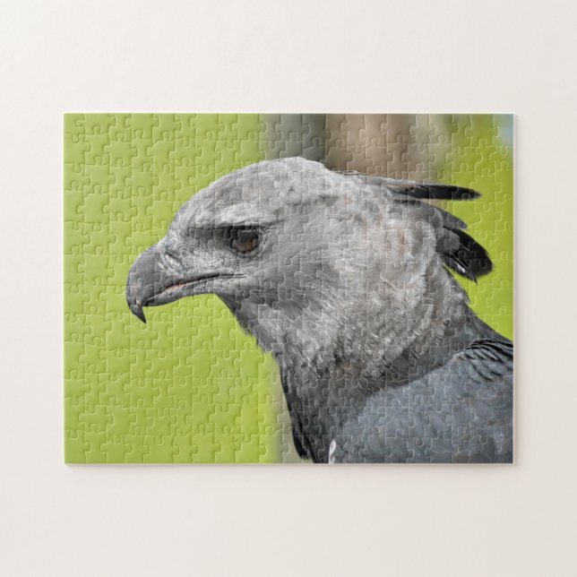 Jigsaw Jigsaw Jigsaw Puzzle (Horizontal)