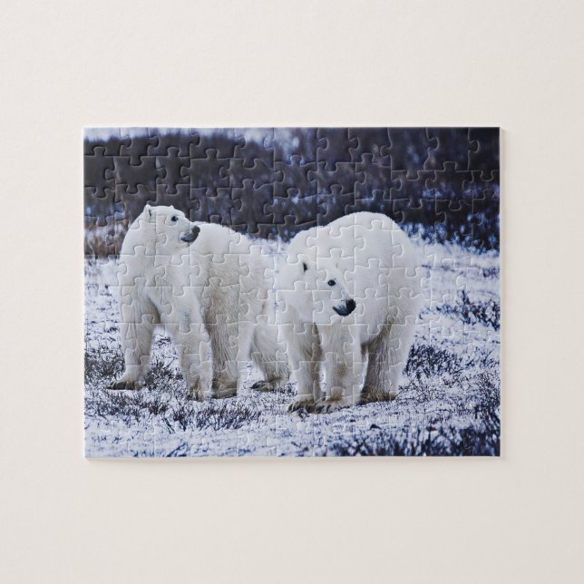 Jigsaw Puzzle (Horizontal)