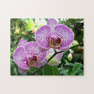 Jigsaw Puzzle Lila Freckled Orchids