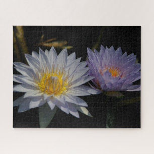 Jigsaw Puzzle Lila Wasserlilien