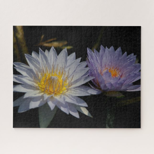 Jigsaw Puzzle Lila Wasserlilien (Horizontal)