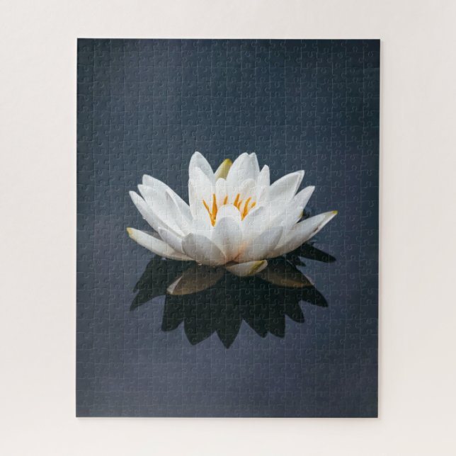 JIGSAW PUZZLE: LOTUS AUF WASSER (Vertikal)