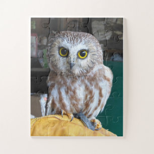 Jigsaw Puzzle Owl