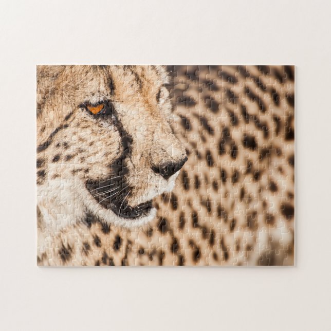 Jigsaw puzzle Portrait d'une Cheetah (Horizontal)