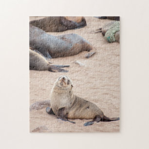 Jigsaw puzzle Seal Cub