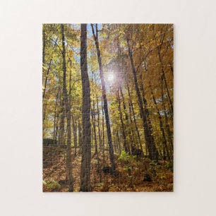Jigsaw Puzzle - Sonnenschein durch Herbstwälder