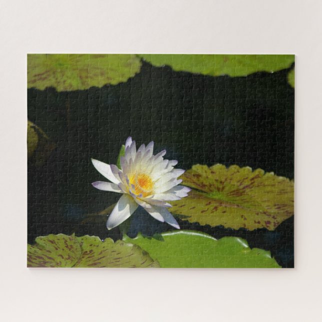Jigsaw Puzzle, Wasserlilie (Horizontal)