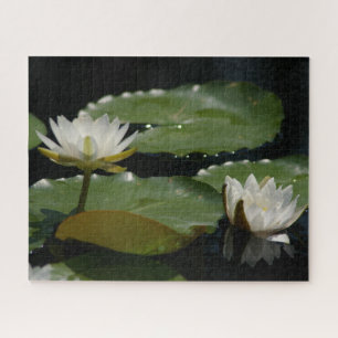 Jigsaw Puzzle Wasserlilie