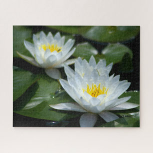 Jigsaw Puzzle Wasserlilie