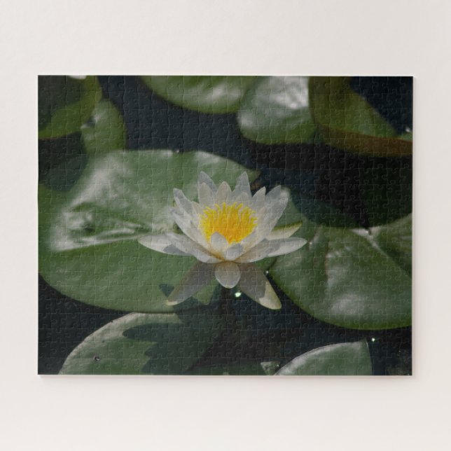 Jigsaw Puzzle, Wasserlilie (Horizontal)
