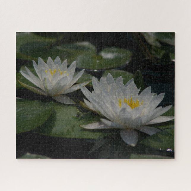 Jigsaw Puzzle Wasserlilie (Horizontal)