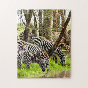 Jigsaw puzzle Zebras am Fluss