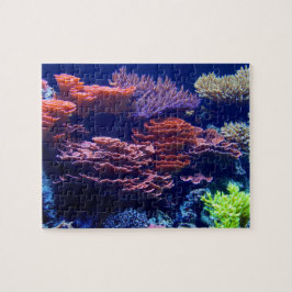 Jigsaw, schöne farbenfrohe Unterwasserszene