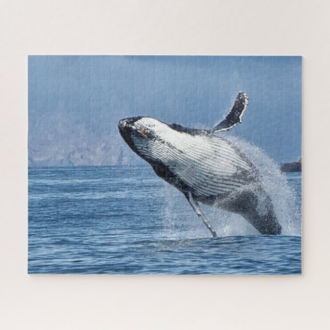 Jigsaws Humpback Whales. (Horizontal)