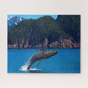 Jigsaws Humpback Whales.