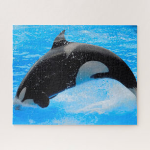 Jigsaws Orcas oder Killer Whales