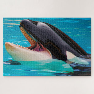 Jigsaws Orcas oder Killer Whales