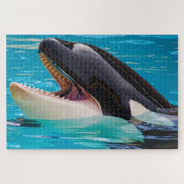 Jigsaws Orcas oder Killer Whales (Horizontal)