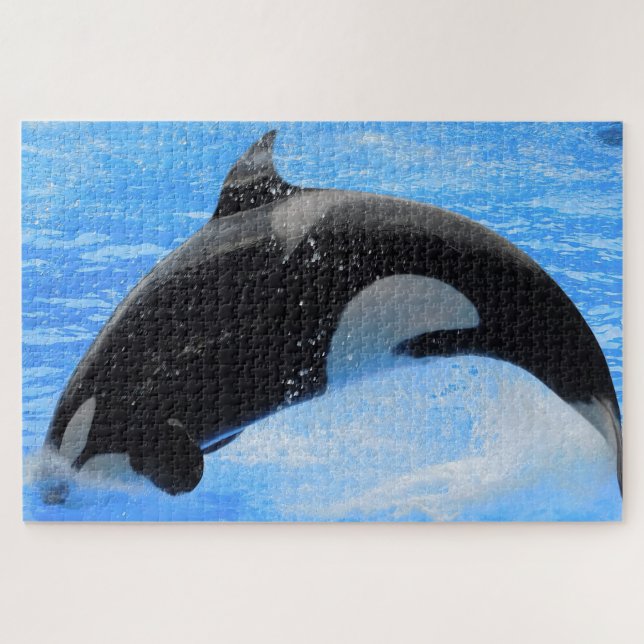 Jigsaws Orcas oder Killer Whales (Horizontal)