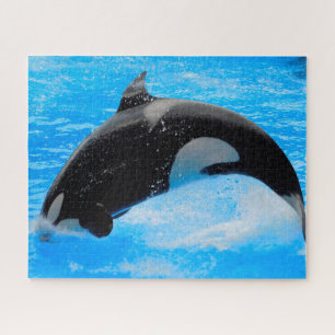Jigsaws Orcas oder Killer Whales