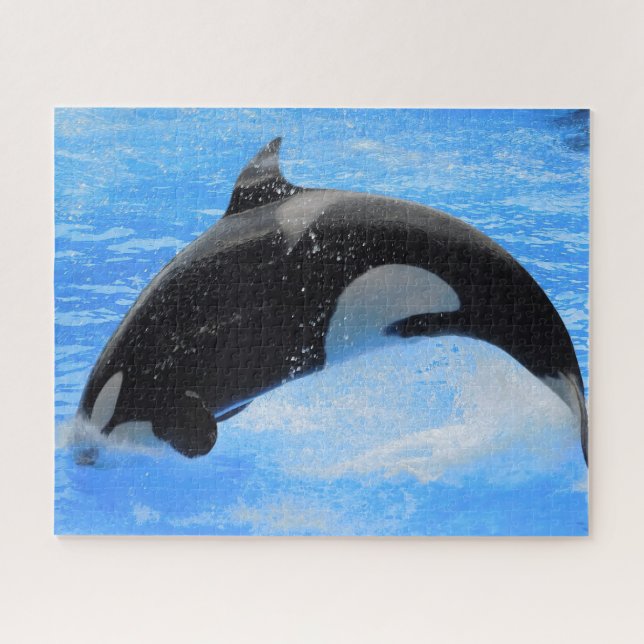 Jigsaws Orcas oder Killer Whales (Horizontal)