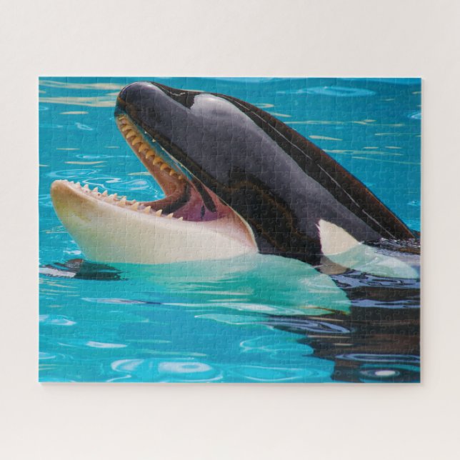 Jigsaws Orcas oder Killer Whales (Horizontal)