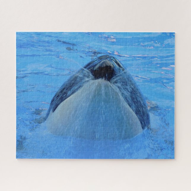 Jigsaws Orcas oder Killer Whales (Horizontal)