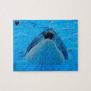 Jigsaws Orcas oder Schwertwale