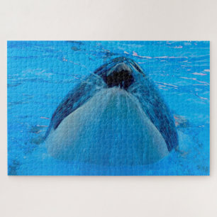 Jigsaws Orcas oder Schwertwale Jigsaw Puzzle