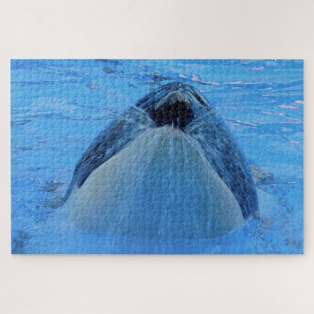 Jigsaws Orcas ou tueur baleines Puzzle (Horizontal)