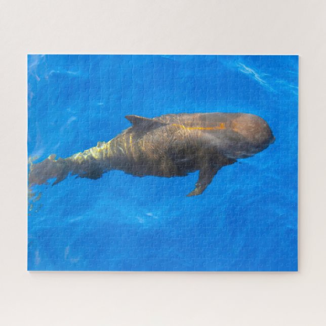 Jigsaws Pilot Whales (Horizontal)