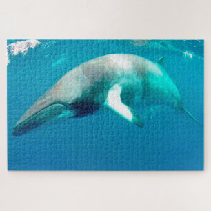 Jigsaws Zwergwale. Puzzle