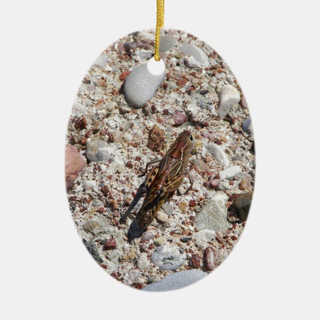 Jiminy Kricket Keramik Ornament (Vorne)