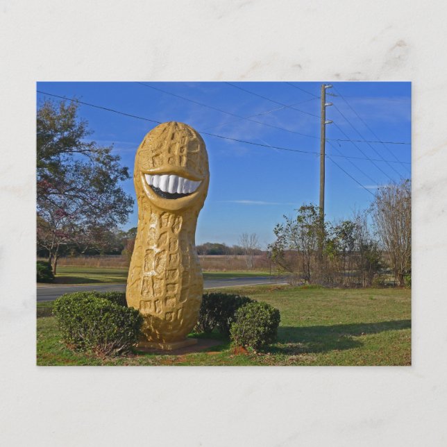 Jimmy Carter Smiling Peanut - Plains GA Postkarte (Vorderseite)