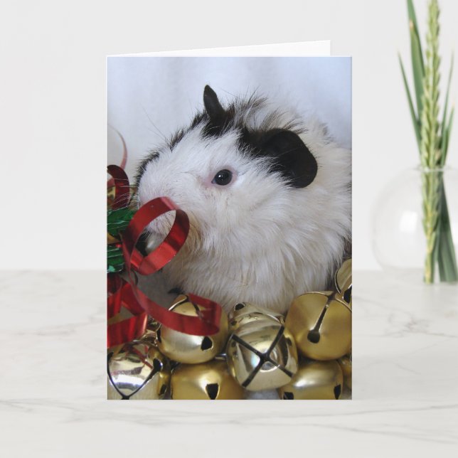 Jingle Bell-Meerschweinchen Feiertagskarte (Vorderseite)
