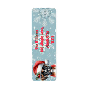Jingle Paws and Boxer Dog Joy