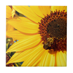 jjhelene "Teddybär-Bienenkönigin-" Entwürfe Fliese