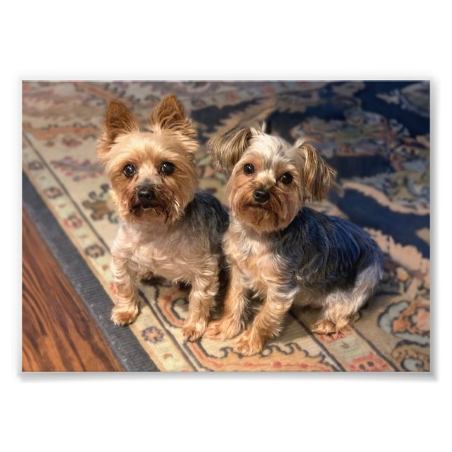 JoAn Nicolas Rosie Fotodruck (Vorne)